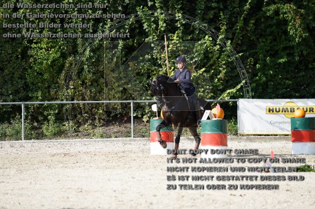 s_K3F04469.JPG